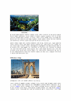 [도시행정]New York City-10