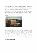 [도시행정]New York City-11