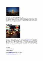 [도시행정]New York City-12