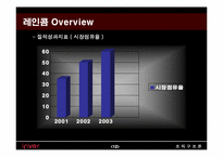 [조직구조론] 레인콤 아이리버 조직구조-12
