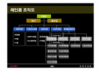 [조직구조론] 레인콤 아이리버 조직구조-20