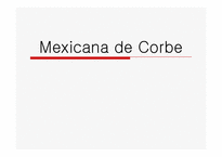 [위험관리론] Mexicana de Corbe-1