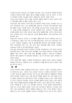 라네즈 브랜드 전략방법-4