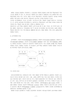 [교수설계] 인간자원개발모형에서의 자료개발-7
