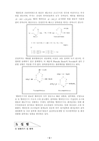[화학실험] 멜라민-포름알데히드 수지-3