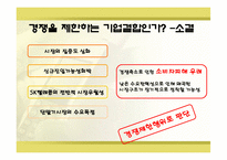 [산업조직론] SK텔레콤㈜의 기업결합관련 심결사례-13