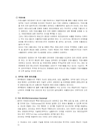 국제기업이 해외시장에 진출하는 전략-4