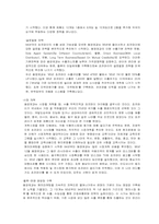 국제기업이 해외시장에 진출하는 전략-8