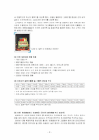 [국제경영전략] 진로소주의 국제화전략에의한 일본시장진출-4