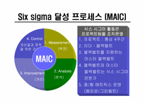식스시그마 레포트-19