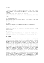 [촉진관리론]현대 EF소나타 마케팅전략-6