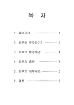 [어문학계열]중국인의 전통 가옥 토루-2
