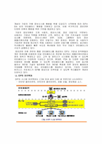 [경영정보] EIP(Enterprise Information Portal)-8