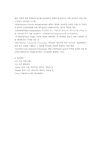 [경영정보] EIS- LG전자의 중역정보시스템사례와 타회사의 EIS `IPO` 예시-11