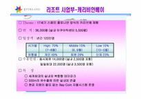[관광리조트론] 테마파크 - 삼성에버랜드-13