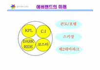 [관광리조트론] 테마파크 - 삼성에버랜드-17
