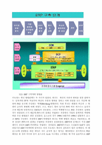 [경영정보학] 포스코 ERP 도입사례를 통해 알아본 사례-6