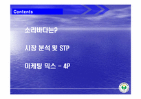 [마케팅] 소리바다 MP3 유료화에 대한 마케팅 방안-2