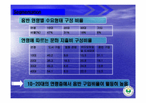 [마케팅] 소리바다 MP3 유료화에 대한 마케팅 방안-11