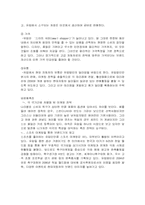 [국제마케팅] 현대자동차의 글로벌마케팅전략-16