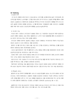 [신제품마케팅전략] 삼성전자 PMP(휴대용멀티미디어재생기) 마케팅전략-11