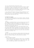 [신제품마케팅전략] C&C 미샤 마케팅전략 보고서-8