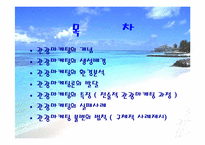 [마케팅] 관광마케팅에 대해서-2