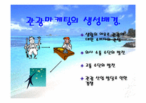 [마케팅] 관광마케팅에 대해서-5