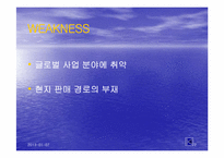 [국제마케팅](주)용마의 현지마케팅전략-12