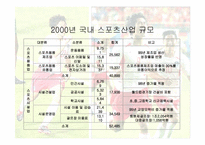 [마케팅] 스포츠마케팅에 대해서-20
