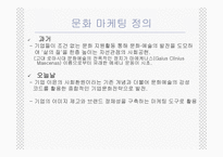 [마케팅] 문화마케팅에 대해서-3