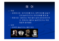 [로마복식사] 로마의 복식사- 고대시대 말기인 로마 복식의 특징-13