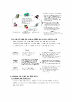 책 `유비쿼터스 네트워크와 신사회시스템` 요약-8