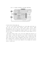 [MIS-경영정보] KB(국민은행)의 CRM(고객관계관리)전략-16