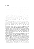 [경영학]국제마케팅 SM엔터테이먼트 보아의 국제마케팅 전략-3