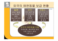 [마케팅] 애완동물보험회사 마케팅-5