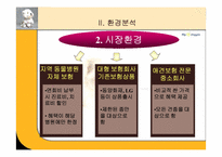 [마케팅] 애완동물보험회사 마케팅-8