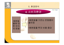 [마케팅] 애완동물보험회사 마케팅-10