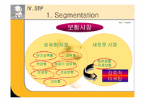 [마케팅] 애완동물보험회사 마케팅-14