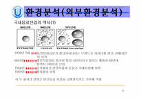 [마케팅] 롯데칠성 SWOT분석-8