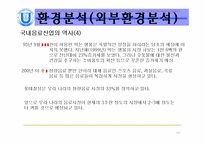 [마케팅] 롯데칠성 SWOT분석-11
