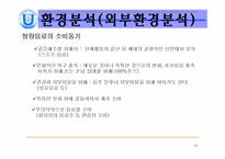 [마케팅] 롯데칠성 SWOT분석-12