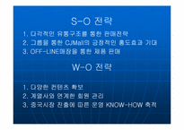 [마케팅] CJ Mall 분석(CJ홈쇼핑 분석)-13