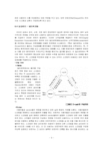 [전자화폐] 전자화폐와 그 실례-9