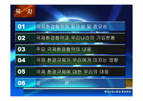 [환경문제] 국제환경협약과 우리의 과제-4