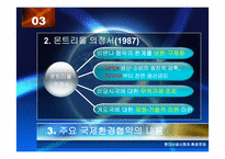 [환경문제] 국제환경협약과 우리의 과제-12