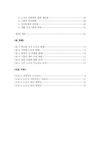 [사회복지]IMF이후 노숙자 문제의 추이와 대안에 관한 연구-4