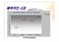 [광고전략] 현대자동차 `테라칸` 광고전략-10