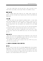 [글로벌브랜드커뮤니케이션전략] 네이버 프랑스전략-9