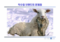[글로벌브랜드] 해외브랜드-17